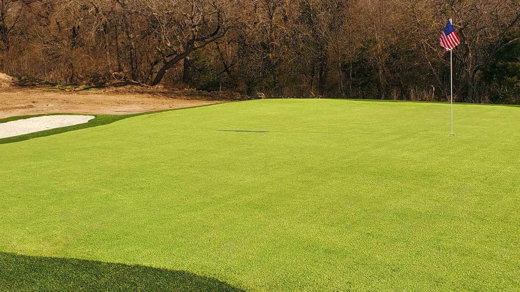 Professional Putting Green Bent Grass Golf Green
